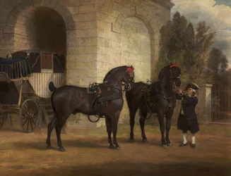 To svarte kjørehester med en kusk, 1791