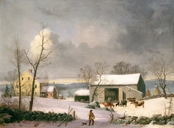 Vinter på landet
