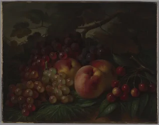 Fersken, druer og kirsebær, ca. 1860-70 (olje på lerret)