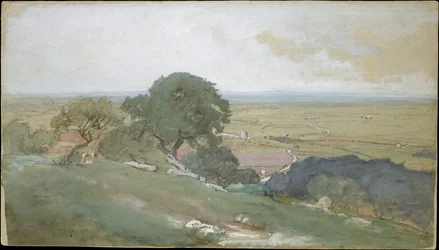 Oliventrær i Tivoli