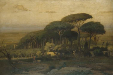 Furulund ved Villa Barberini