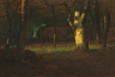 Solnedgang i skogen, 1891.