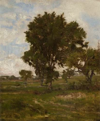 Almetreet