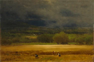 Hveteåkeren, ca. 1875-1877