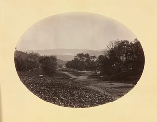 En vei i Williamstown, ca. 1870.
