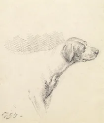 Studie av en hund, 1794
