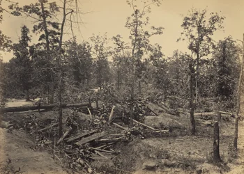 Slagmarken ved Atlanta, Georgia, 22. juli 1864, nr. 1