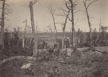 Battle Ground of Resacca, Georgia nr. 3, 1860-tallet.