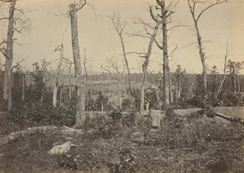 Slagmarken ved Resaca, Georgia, nr. 3, 1864 (bilde)