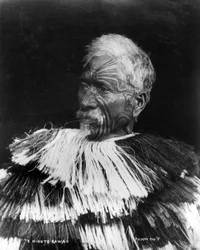 Skarvsynoden, ca. 1860-71
