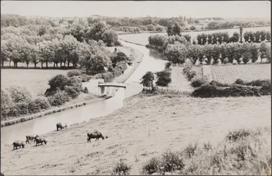 Utsikt mot Globe Lane-broen over Grand Union-kanalen, 1900-tallet (foto)