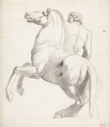 Rytter fra Montecavallo