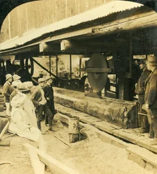 The Timber Industry, Warburton, Victoria, Australia, 1909.