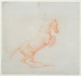 En prancing Horse, vendt mot høyre, 1790 (rødt kritt på papir)