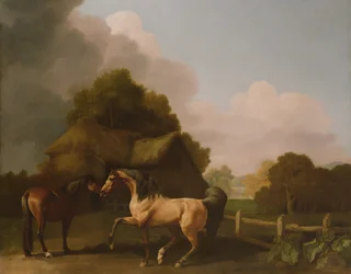 En Roan Stallion og en Bay Mare
