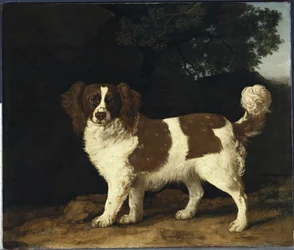 Fanny, favorittspanielen til fru Musters, står i et skogslandskap, 1777