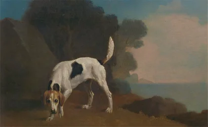 Revehund