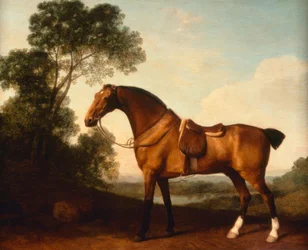 G. Stubbs, A Saddled Bay Hunter