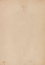 Menneskeskjelett, forfra
