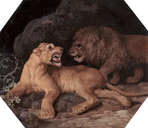Løve og løvinne, 1770.
