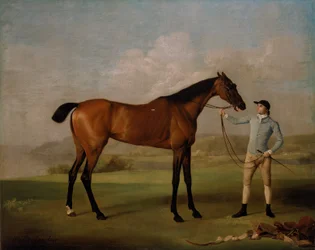Molly Long-legs med jockeyen sin