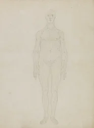 Studie av den menneskelige figuren, anterior View, fra 