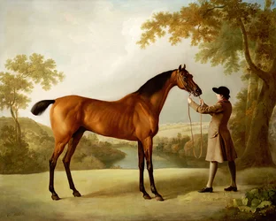 Tristram Shandy, en bukt veddeløpshest holdt av en brudgom i et vidstrakt landskap, ca. 1760
