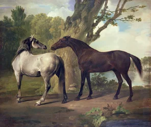 To hester i et landskap