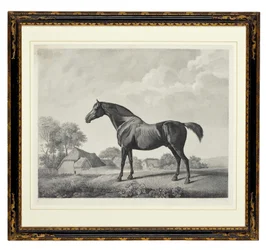 Sweetbrier (stippgravering)