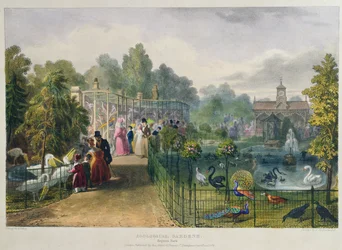The Aviary at Zoological Gardens, Regents Park, gravert og pub. av kunstneren, trykt av Charles Hullmandel (1789-1850), 1836