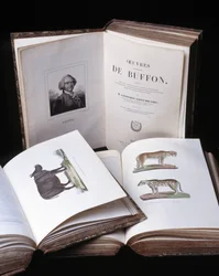 Stilleben av "Complete works of Buffon" av naturforsker Georges Louis Leclerc, greve av Buffon (1707 - 1788). Gravering fra 1837.