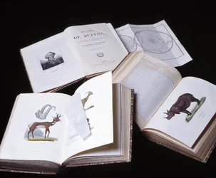 Stilleben av "Complete works of Buffon" av naturforsker Georges Louis Leclerc, greve av Buffon (1707 - 1788). Gravering fra 1837.