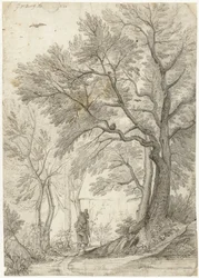 Forest of the Villa Madama utenfor Roma
