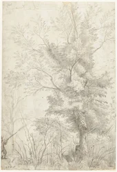 Forest of the Villa Madama utenfor Roma, med en skytejeger