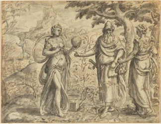 Frøet mottatt blant tornene, fra lignelsen om såmannen, ca. 1573.
