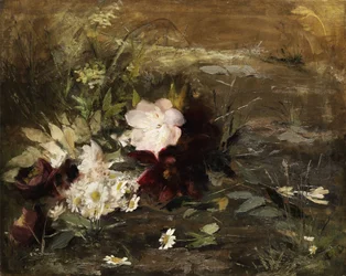 Nederlandsk: Seerosen-blomster og tusenfryd på stranden