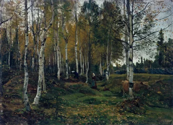 Bjørkeskog om høsten
