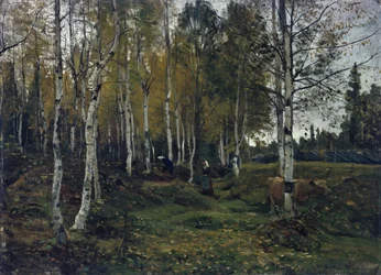 Bjørkeskog om høsten