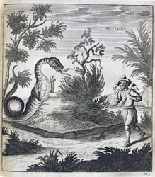 En fryktelig drage, ca. 1660
