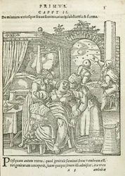 A Woman in Labour, illustrasjon fra kapittel 2, bok 1 av On the Conception and Growth of Man av Rueff, 1587