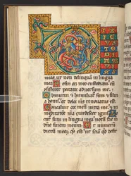 Legge til. 60629, f.43v Store innrammede initialer i gull og farger med foliate og noen ganger zoomorphic og antropomorphic ornament (vellum)