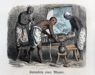 Antikkens historie. Egypt. Forberedelse av en mumie ... (gravering)