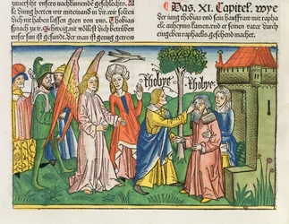 Apokryfene: Tobias gir sin far Tobit synet tilbake med gallen fra en fisk, fra Nürnberg-bibelen (Biblia Sacra Germanaica)