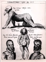 Håret mann og vill mann, illustrasjon fra Physica Curiosa av Gaspar Schott (1608-66)