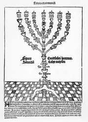 Menorah, fra Liber Chronicarum av Hartmann Schedel, utgitt i Nürnberg, 1493