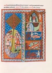 Miniatyr fra Liber Scivias av Hildegard av Bingen, ca. 1175 (faksimile)