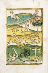 Monstre og slanger i et landskap, 1478