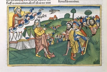 Nummer 1 1-20 Forberedelse til reisen fra Sinai-fjellet, fra Nürnbergbibelen (Biblia Sacra Germanaica) (farget tresnitt)