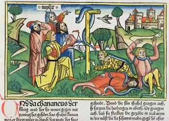 Nummer 21 4-9 Giftige slanger biter opprørske israelitter, fra Nürnbergbibelen (Biblia Sacra Germanaica) (farget tresnitt)
