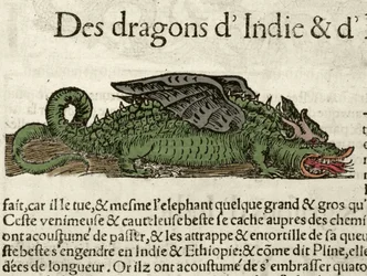 Representasjon av en drage fra India. Xilografi hentet fra Sebastien Munsters Universal Cosmography. Bale